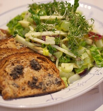 Waldorfsalade nieuwe stijl