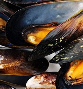 Zeeuwse mosselen zijn weer volop verkrijgbaar