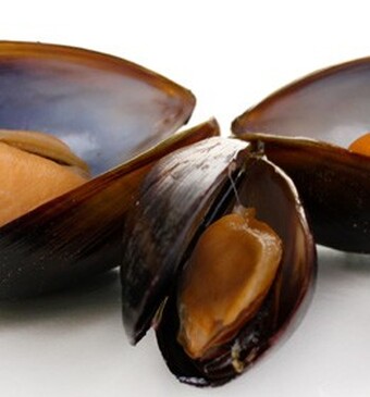 Openstaande mosselen