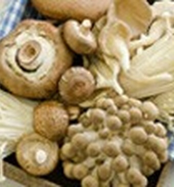 Paddenstoelen wassen?