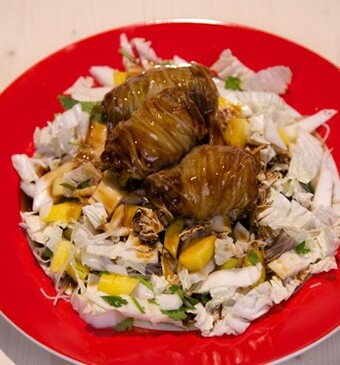 Chinese koolrolletjes in sojasaus