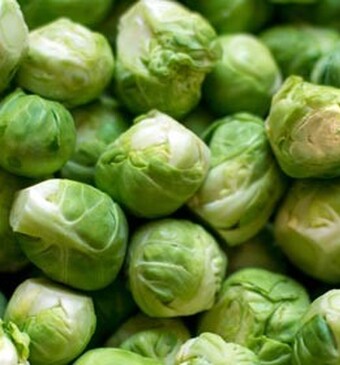 Minikooltjes vol power