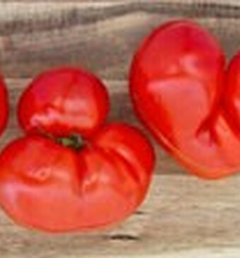 Kromkommer wil soep maken van gekke groente