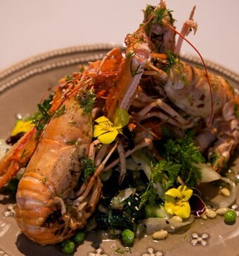 Gebakken langoustines met wilde spinazie en zoete dressing