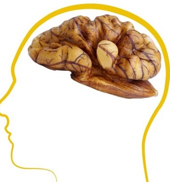 Recepten voor tijdens de examenweek