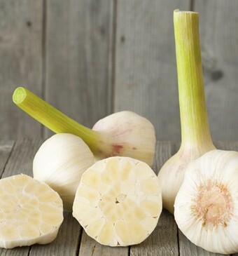 Verse of gedroogde knoflook?