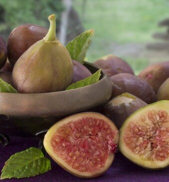 Knapperige vijgen