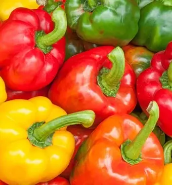 Hoera voor de Nederlandse paprika