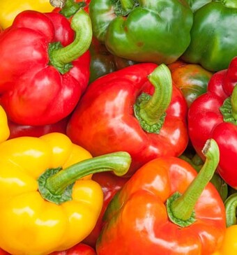 Hoera voor de Nederlandse paprika