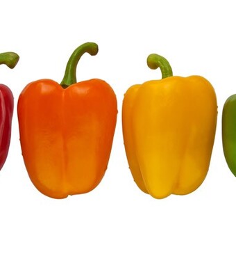 50 jaar paprika gebundeld in een boek