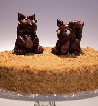 Fiekes eekhoorntaart