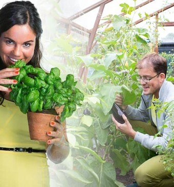 Vanaf 19 oktober: nieuwe reality-serie De Volkstuin