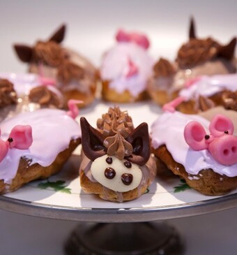Zoete traktaties voor dierendag