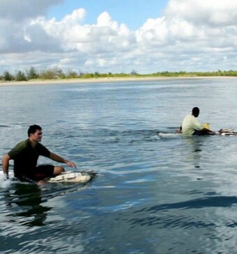 Must see deze week: 7 november t/m 13 november