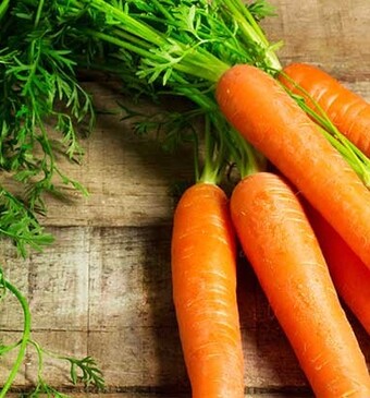 Wat is het verschil tussen wortel en peen?