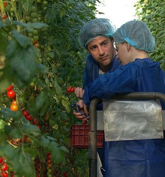Glutenvrij koken in Smaakpupillen