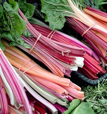 Rabarberseizoen (+ bewaartip)