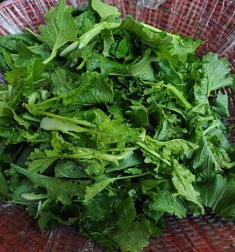 Dé voorjaarsgroente: raapstelen