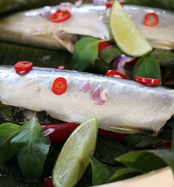 Tjoloh Tjoloh van Oma Betty