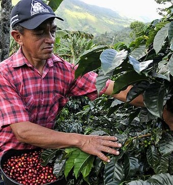 Weet jij waar je koffie vandaan komt?