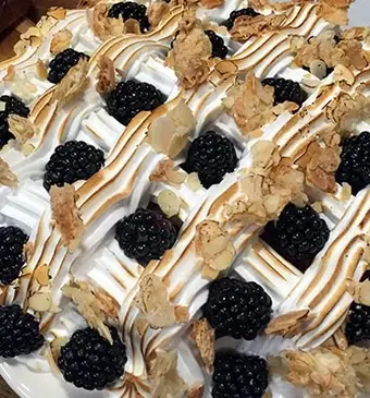Yoghurt-bramentaart