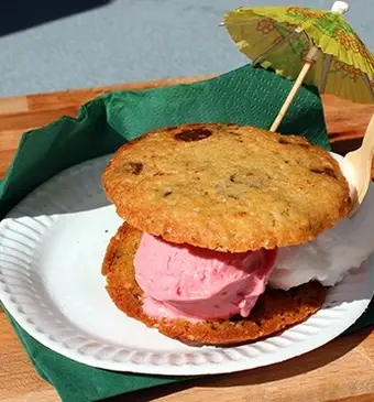 IJssandwich
