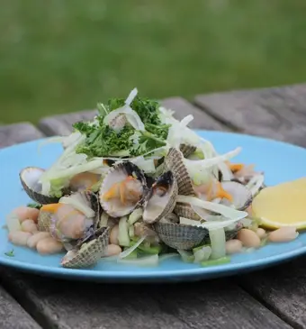 Kokkels met venkel en witte bonen