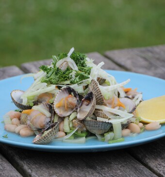 Kokkels met venkel en witte bonen