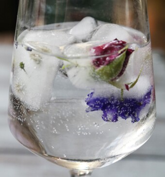 IJsblokjes met eetbare bloemen en fruit