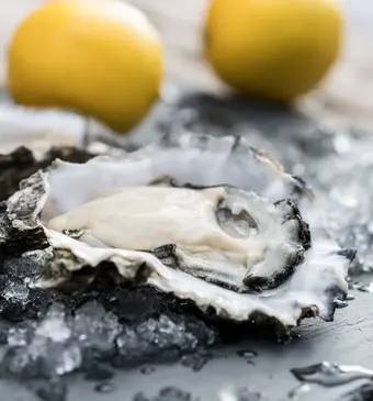 Oesters