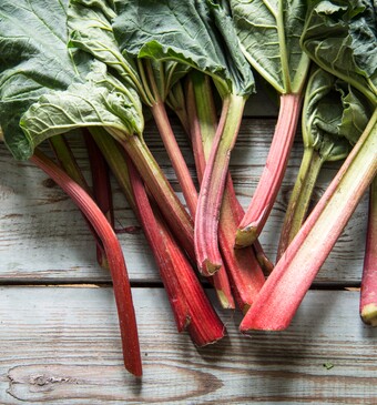 Rabarber