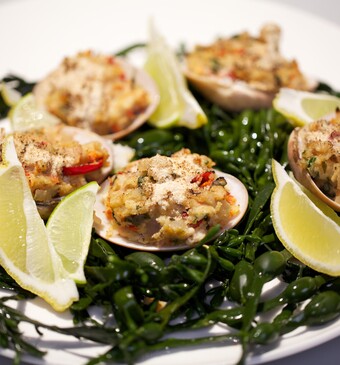 Gevulde vernisschelpen uit Suriname