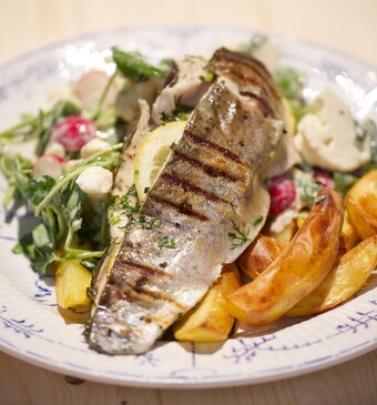 Gegrilde forel met frisse rauwkost