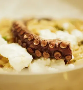 Octopus