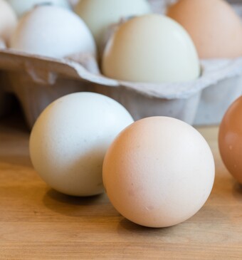 Verschillende eieren