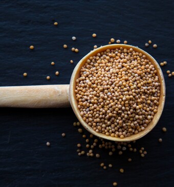 Mosterdzaad