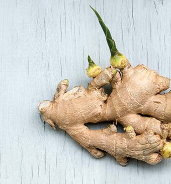 Gember en geneeskracht