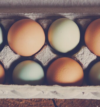 Eieren: kun je er teveel van eten? 