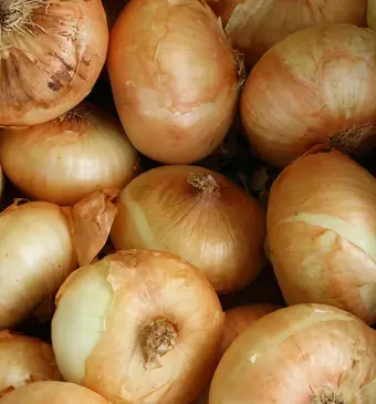 Uien