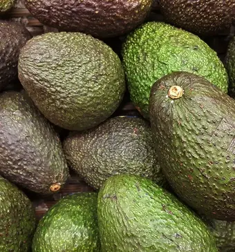 Avocado