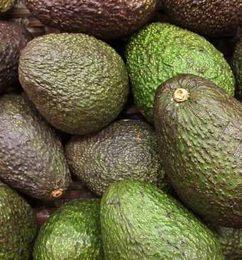 Avocado