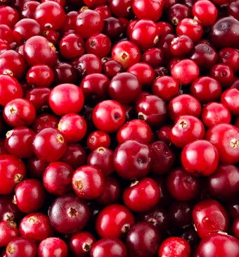 Cranberry's