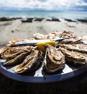 Oesters
