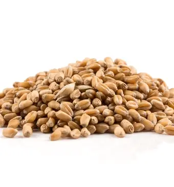 Spelt