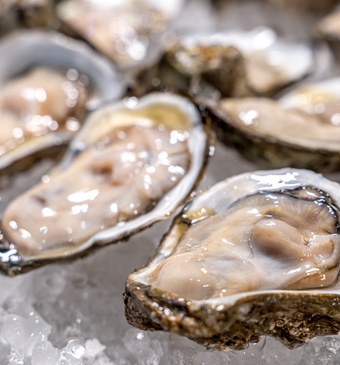 Oester