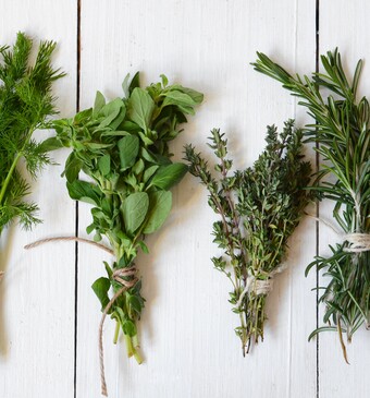 verse kruiden bewaren