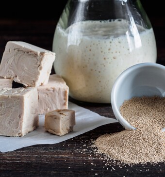 verse gist instantgist droge gist