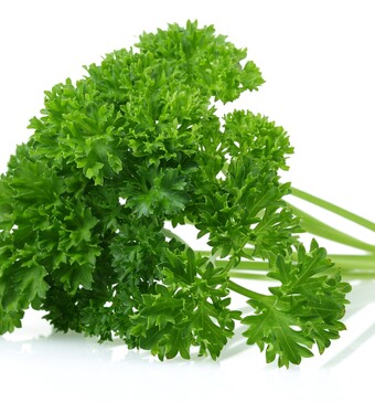 krulpeterselie