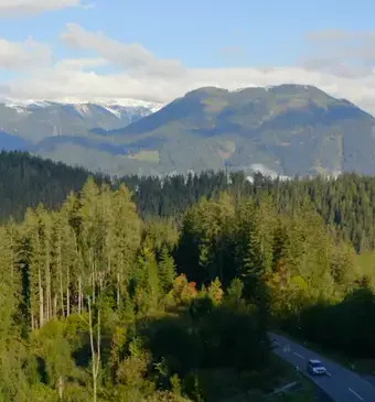 steiermark bos