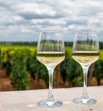Twee wijnglazen met op de achtergrond een wijngaard.